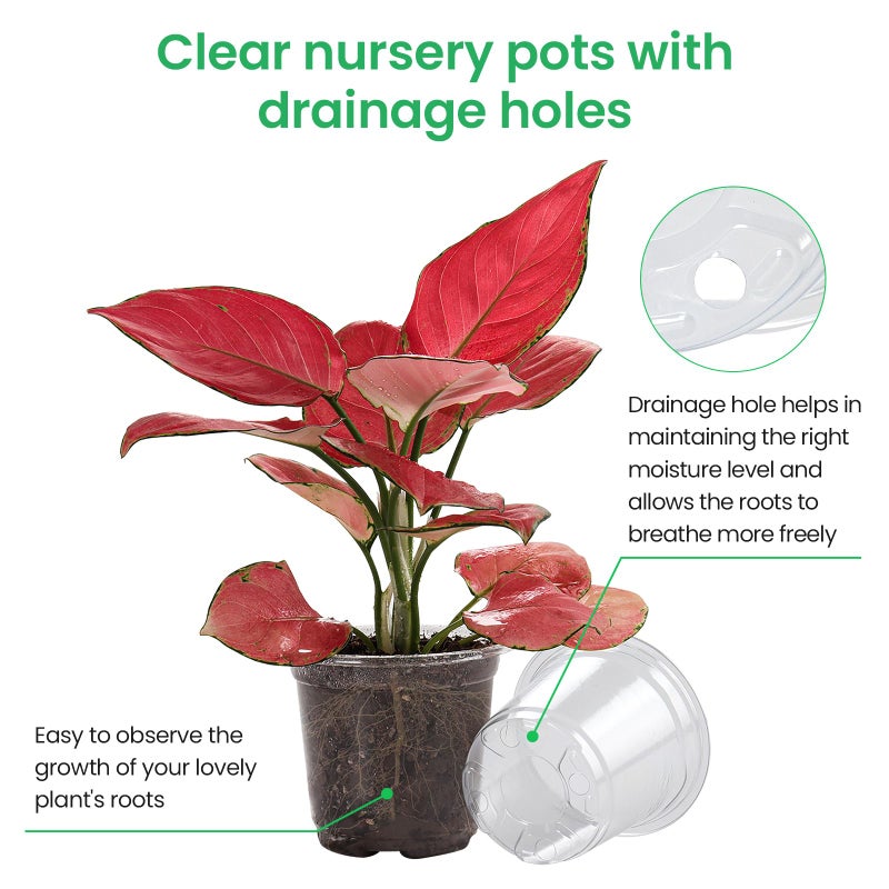 Bluepro 36 Packs 6.7/5/4/3.5 Inch Reinforced Clear Nursery Pots with Drainage Hole  Transparent Variety Pack Plastic Plant Pot Seedling Planter Seed Starter Flower - Image 3